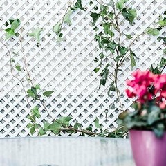 Tipos de celosías para jardín: ¡descubre las blancas!