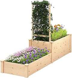 Cómo Mantener tus Jardineras Separadoras con Celosía en Perfecto Estado