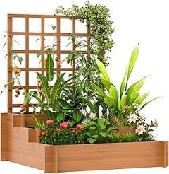 Las mejores plantas para aprovechar tus celosías de jardín con macetero