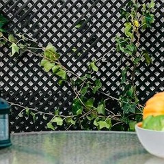 Descubre los precios de celosías de jardín fijas y dónde adquirirlas