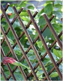 Pros y contras de usar celosías extensibles en tu jardín