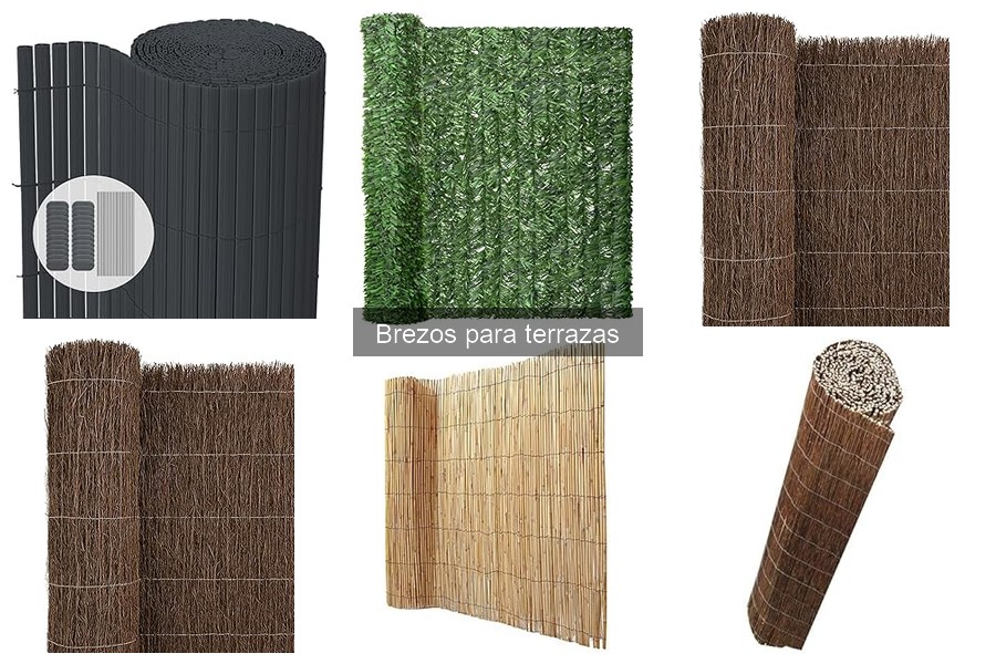 Alternativas a los Brezos para Terrazas: Soluciones Creativas