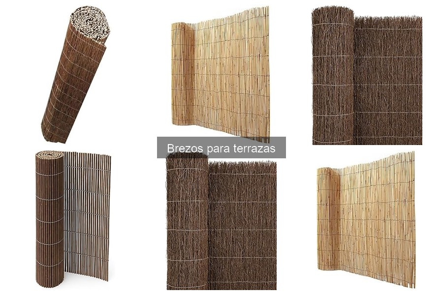 Cómo elegir el brezal ideal para tu terraza