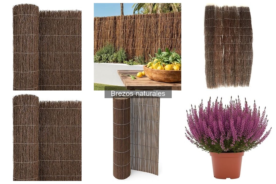 Cómo elegir el mejor brezo natural para tu jardín