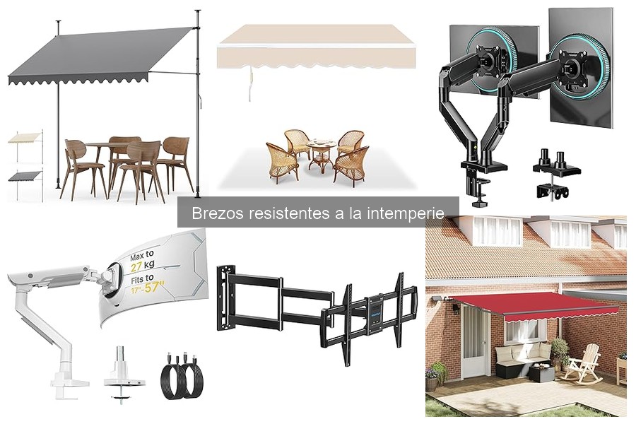 Cómo mantener brezos resistentes a la intemperie en excelente estado