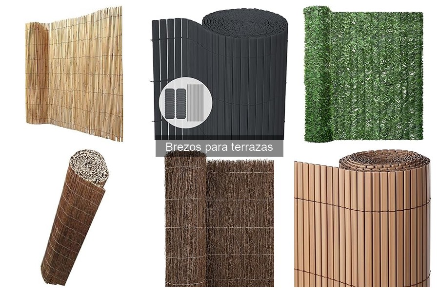 Comparativa de Brezales Naturales vs Artificiales en Terrazas