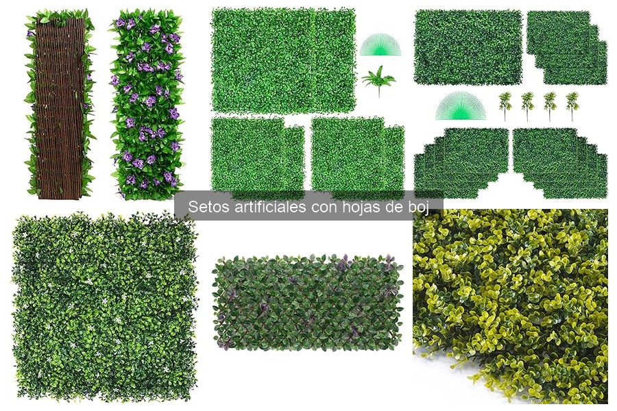 Comparativa Setos Artificiales de Boj vs. Naturales