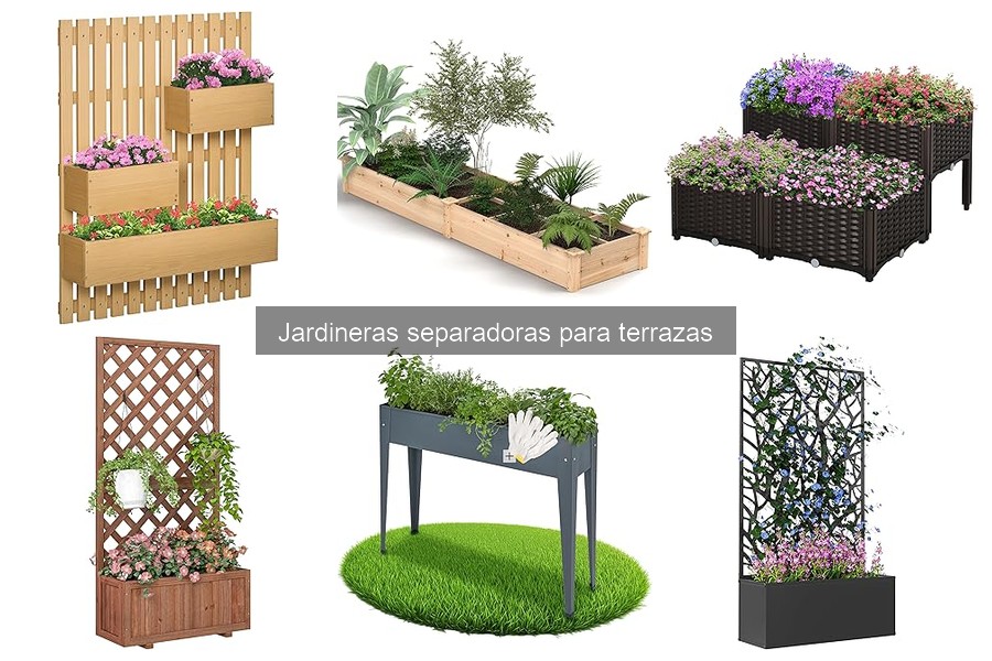 Cuidados de Jardineras Separadoras: Riego y Mantenimiento
