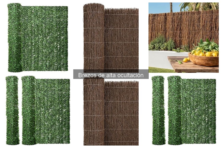 Dónde comprar brezos de alta ocultación para tu jardín