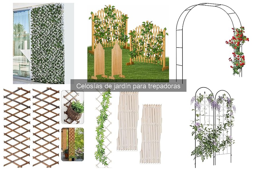 Mantenimiento de celosías para trepadoras: guía práctica