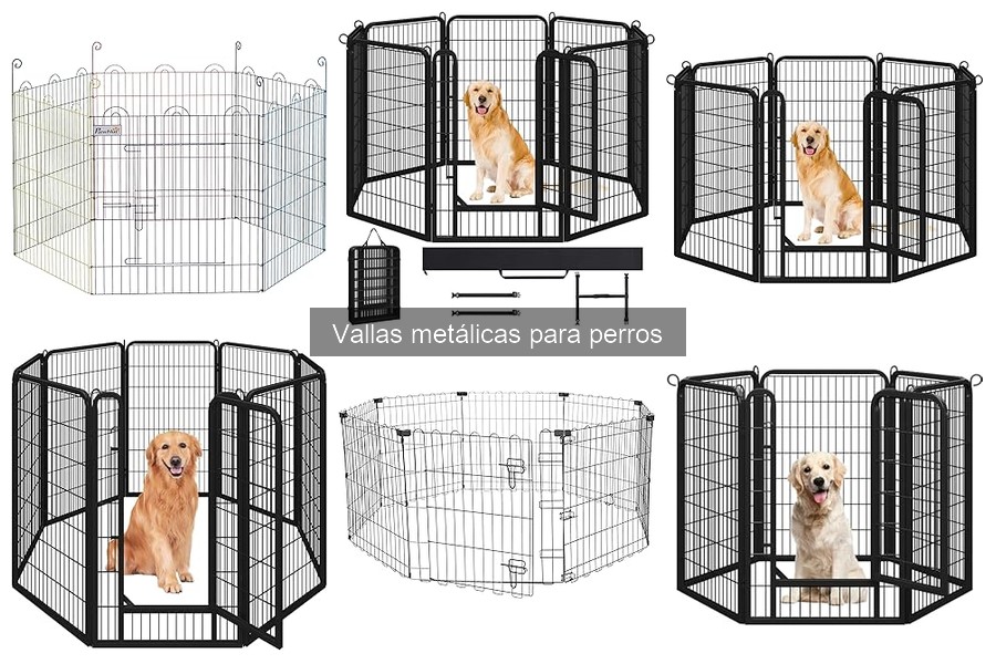 Mantenimiento de vallas metálicas para perros: Consejos prácticos