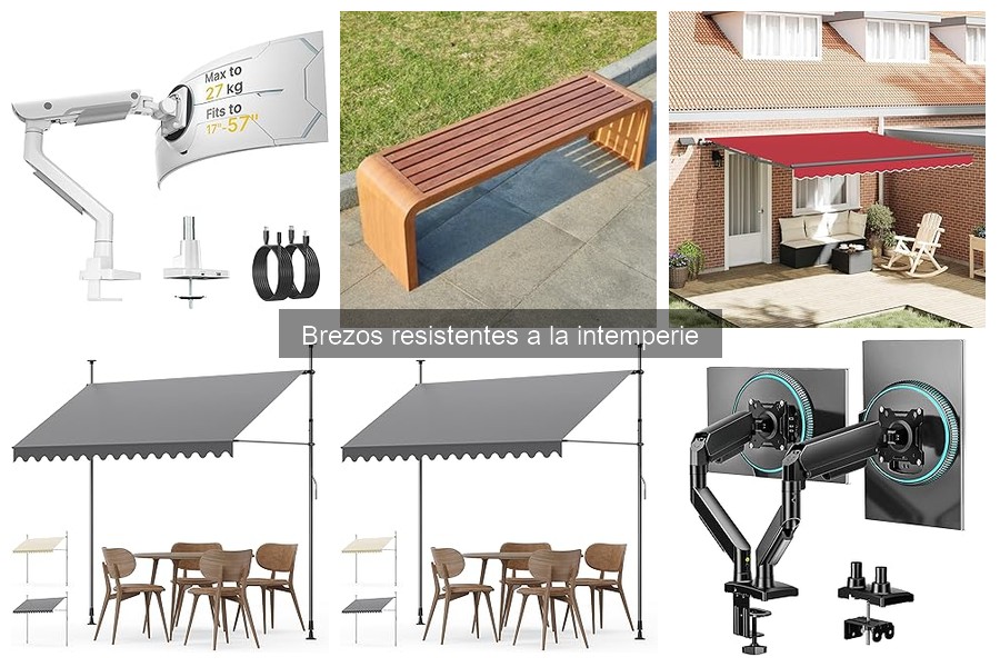 Preguntas frecuentes sobre brezos resistentes a la intemperie