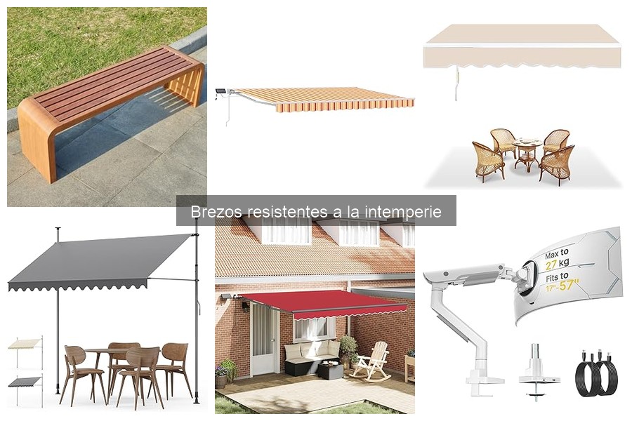 ¿Qué son los brezos resistentes a la intemperie?