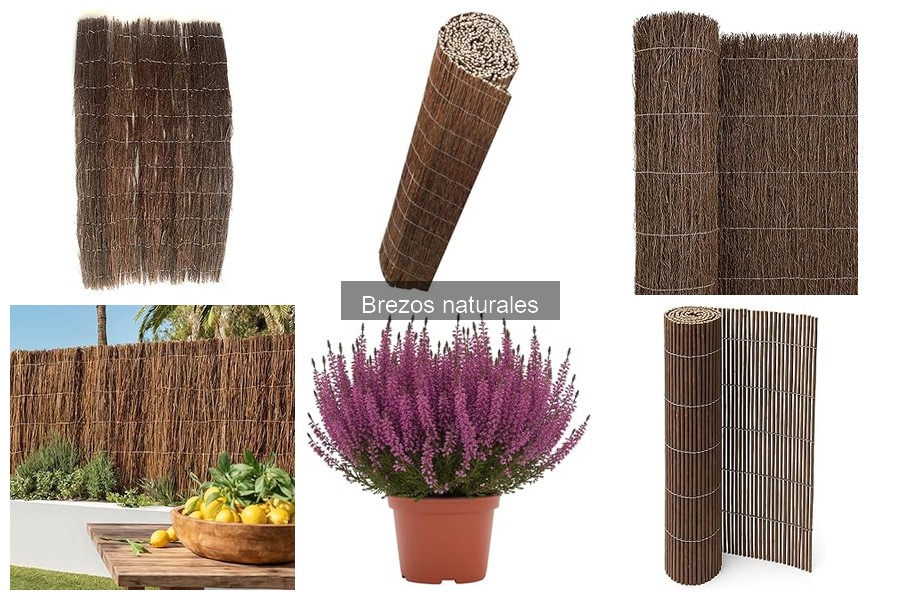 Tipos de Brezos Naturales para Cerramientos Exteriores