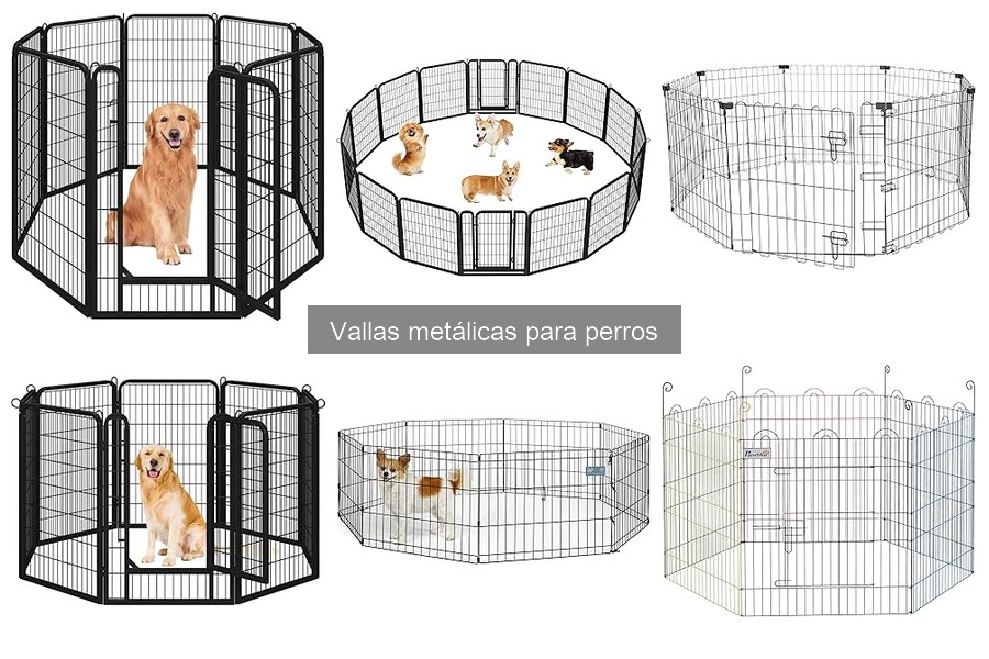 Vallas metálicas para perros: tipos y características esenciales