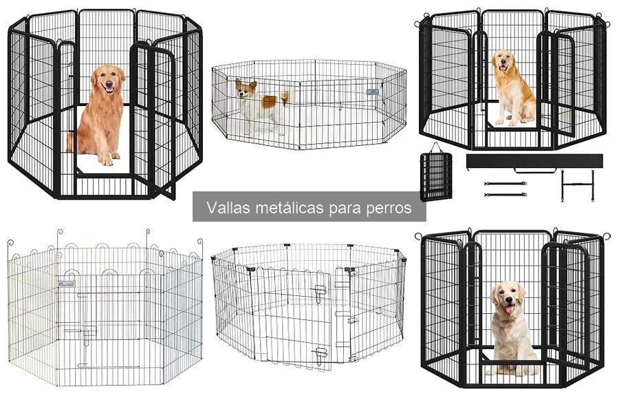 Ventajas y Desventajas de las Vallas Metálicas para Perros