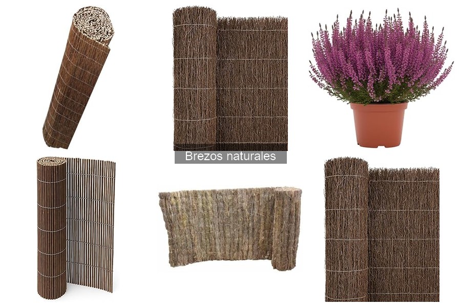 Ventajas y desventajas de los brezos naturales para cerramientos