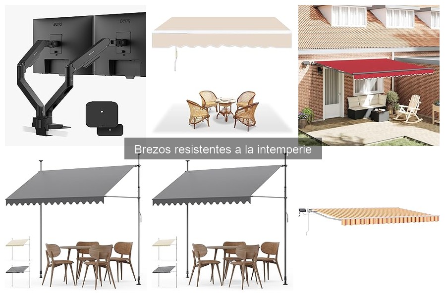 Ventajas y desventajas de los brezos para cerramientos exteriores