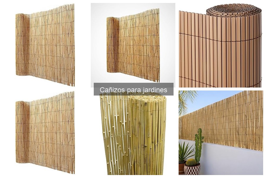 Ventajas y desventajas de los cañizos para jardines