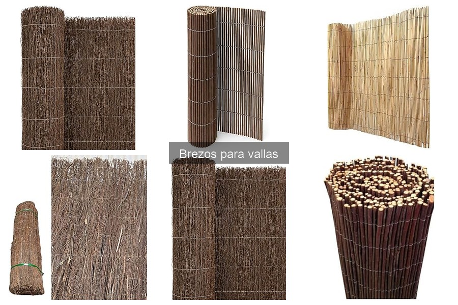 Ventajas y desventajas de usar brezos para vallas